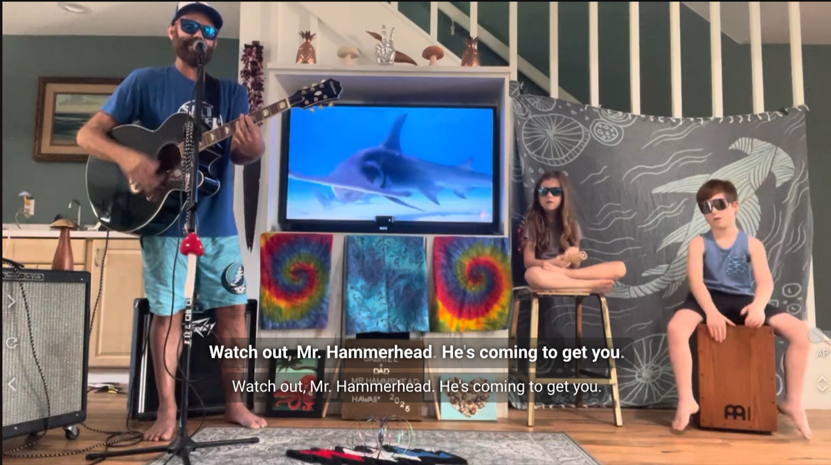 Watch Out, Mr. Hammerhead! – Hardcover Children's Picture Book